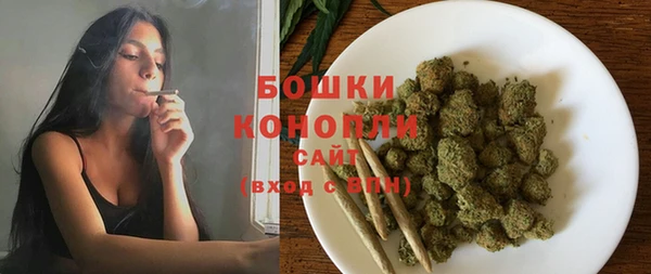 прущая мука Ельня