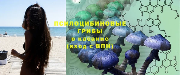2c-b Елизово